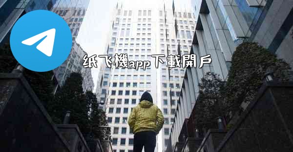 纸飞機app下載開戶