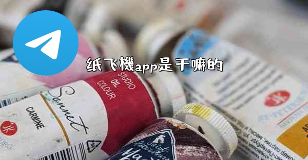 纸飞機app是干嘛的