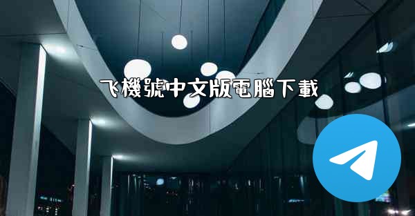 飞機號中文版電腦下載