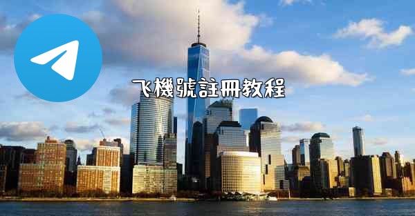 飞機號註冊教程