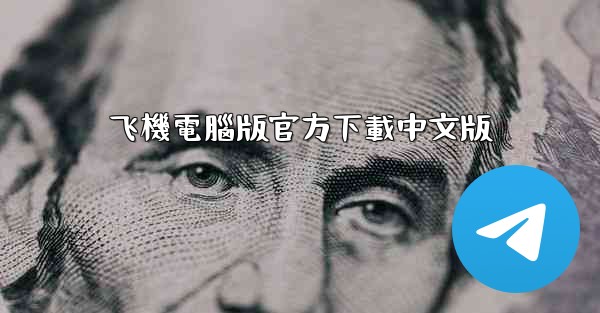 飞機電腦版官方下載中文版