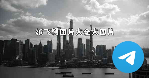 纸飞機图片大全大图片