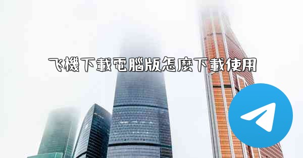 飞機下載電腦版怎麼下載使用