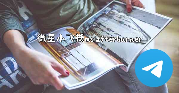 微星小飞機msiafterburner