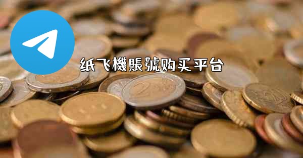 纸飞機賬號购买平台