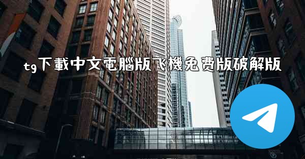 tg下載中文電腦版飞機免费版破解版