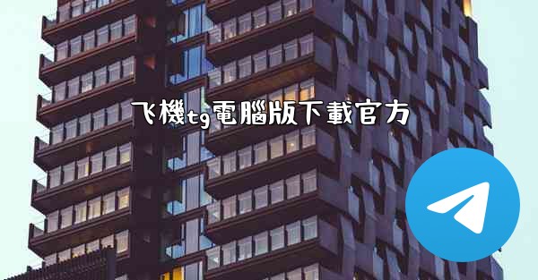 飞機tg電腦版下載官方