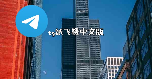 tg纸飞機中文版