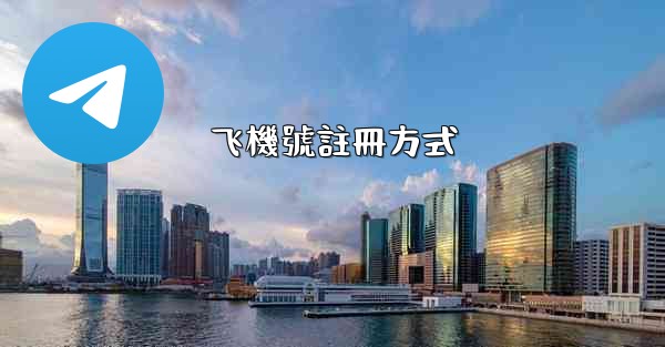 飞機號註冊方式