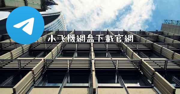 小飞機網盘下載官網