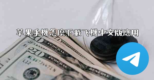 苹果手機怎麼下載飞機中文版應用