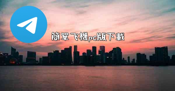 簡單飞機pc版下載