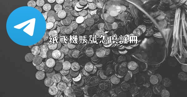 纸飞機賬號怎麼註冊