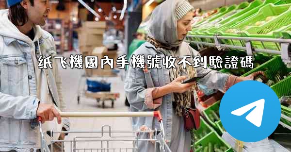 纸飞機國內手機號收不到驗證碼