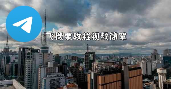 飞機票教程视频簡單