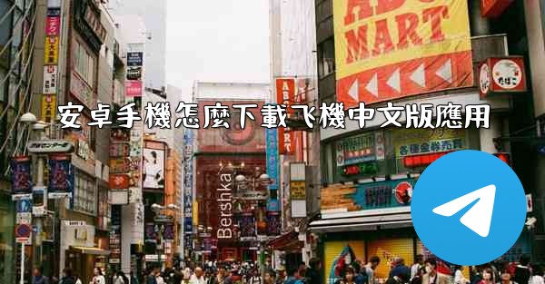 安卓手機怎麼下載飞機中文版應用