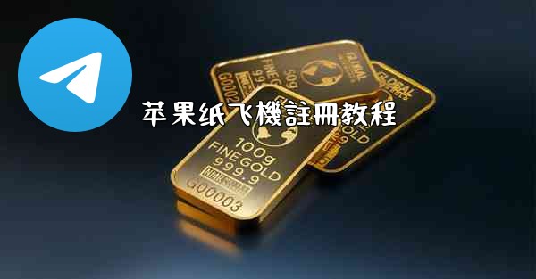 苹果纸飞機註冊教程