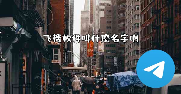 飞機軟件叫什麼名字啊