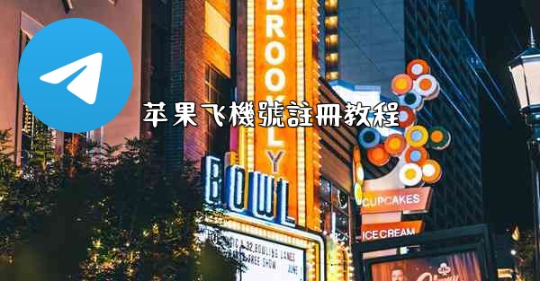 苹果飞機號註冊教程