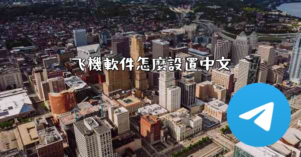 飞機軟件怎麼設置中文