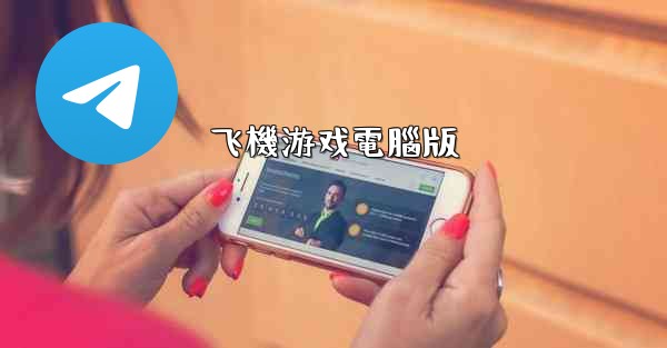 飞機游戏電腦版