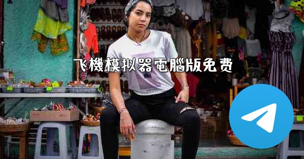 飞機模拟器電腦版免费