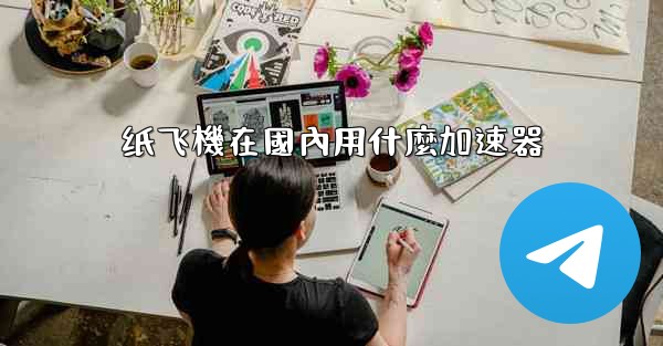 纸飞機在國內用什麼加速器