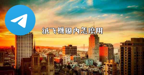 纸飞機國內怎麼用