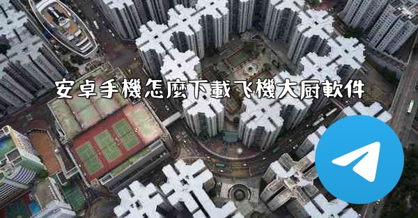 安卓手機怎麼下載飞機大厨軟件