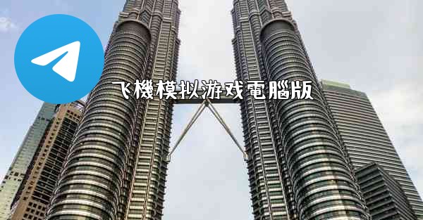 飞機模拟游戏電腦版