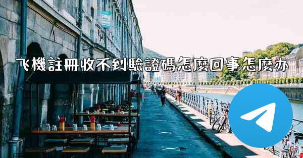 飞機註冊收不到驗證碼怎麼回事怎麼办