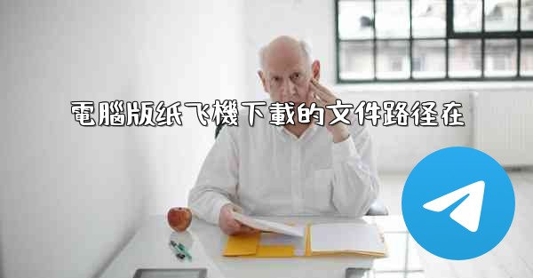 電腦版纸飞機下載的文件路径在