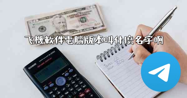 飞機軟件電腦版本叫什麼名字啊