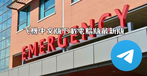 飞機中文版下載電腦版最新版