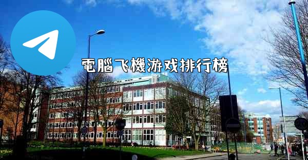 電腦飞機游戏排行榜