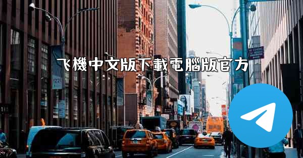 飞機中文版下載電腦版官方