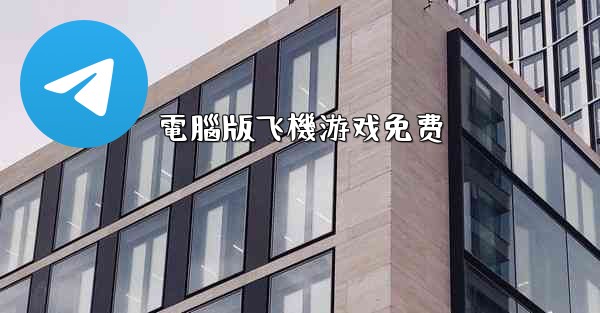 電腦版飞機游戏免费
