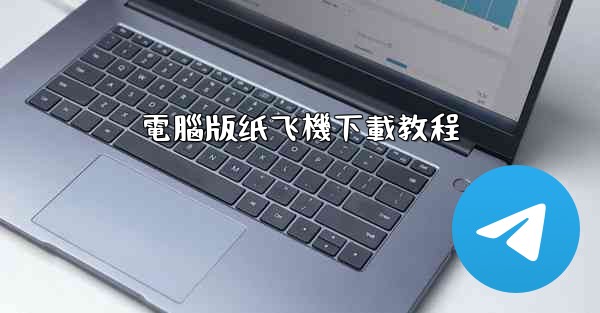 電腦版纸飞機下載教程