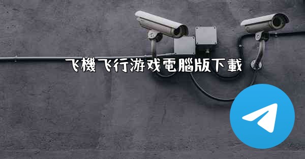 飞機飞行游戏電腦版下載