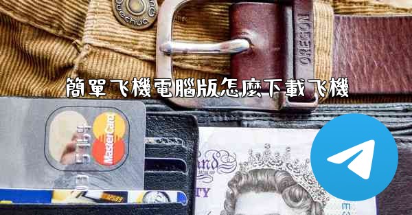 簡單飞機電腦版怎麼下載飞機