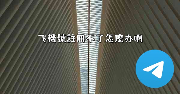 飞機號註冊不了怎麼办啊