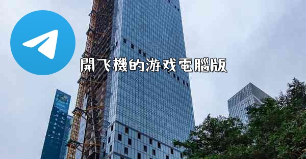 開飞機的游戏電腦版