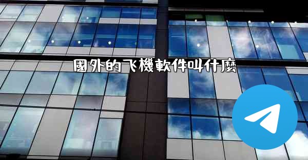 國外的飞機軟件叫什麼