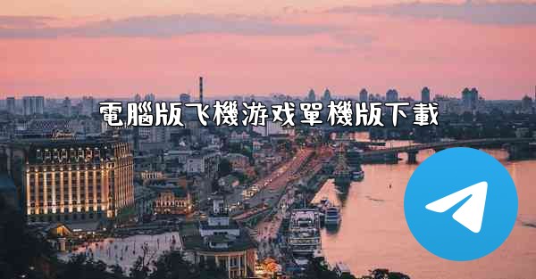 電腦版飞機游戏單機版下載