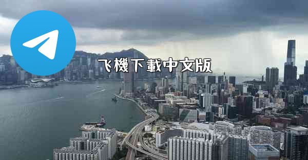 飞機下載中文版