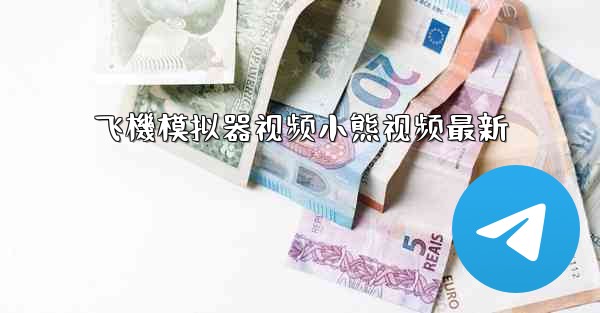 飞機模拟器视频小熊视频最新