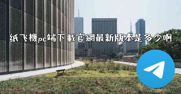 纸飞機pc端下載官網最新版本是多少啊