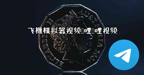 飞機模拟器视频哔哩哔哩视频