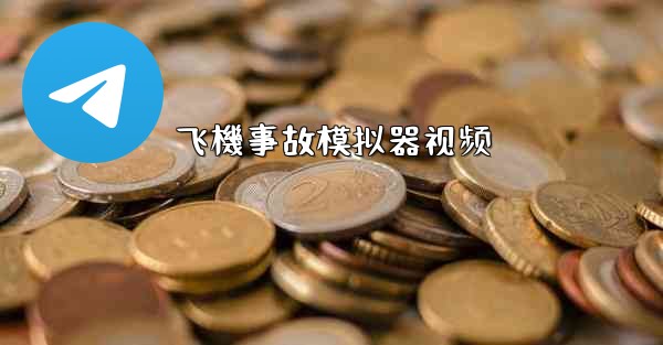飞機事故模拟器视频
