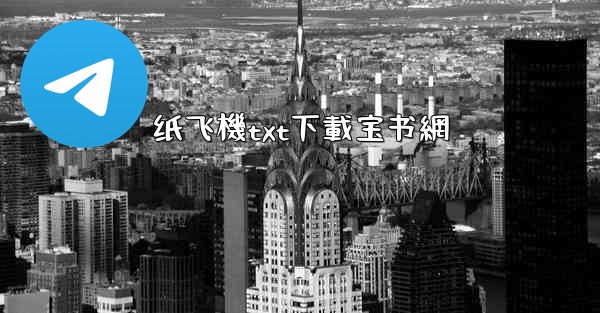 纸飞機txt下載宝书網